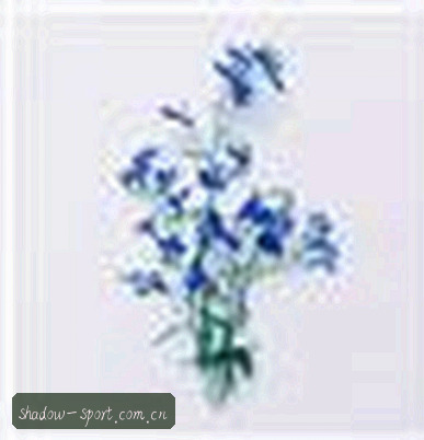 吴哥